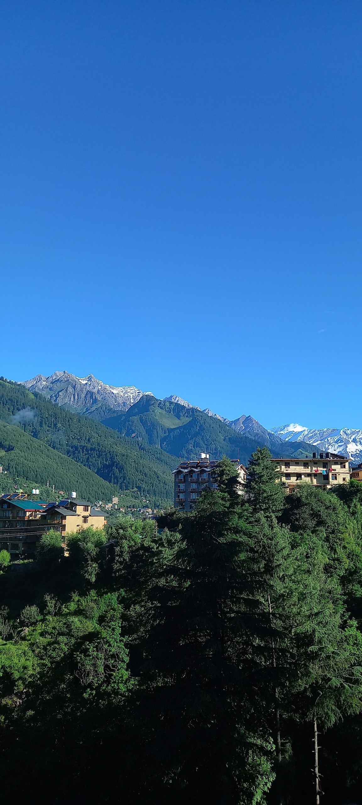 A bright blue sky serves as the backdrop for a panoramic view of mountains and greenery. The image captures a variety of trees in the foreground, with buildings nestled among the slopes, revealing an inviting and serene landscape.