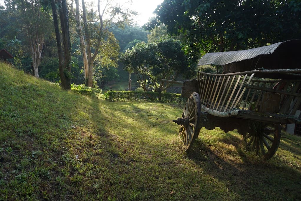 Let you escape in the peaceful yard 10 acres of hilly area