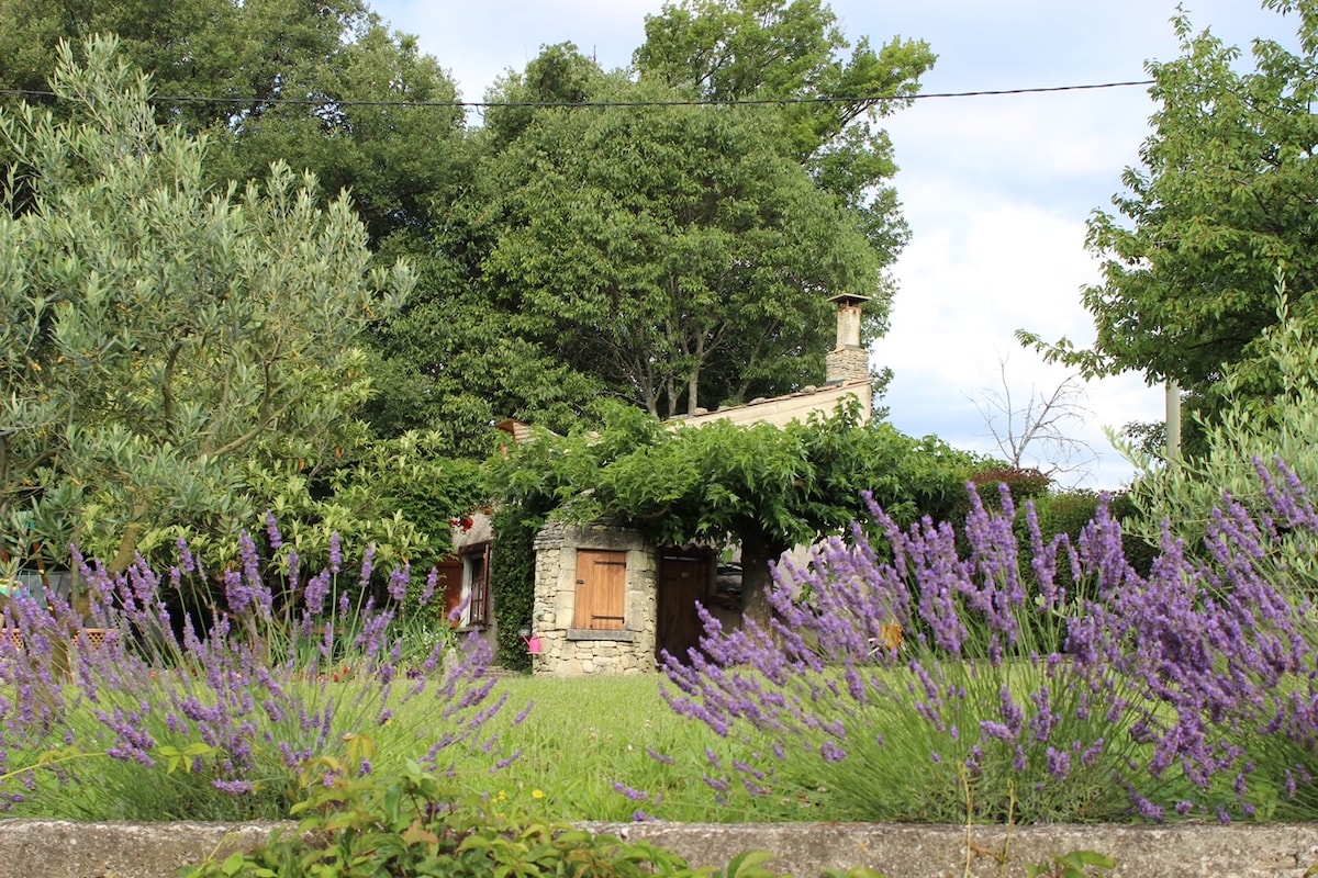 A small stone cabin is surrounded by lush greenery, with vibrant lavender plants in the foreground. A trellis of grapevines is visible above the cabin, and trees provide a natural backdrop, contributing to a serene and tranquil environment.