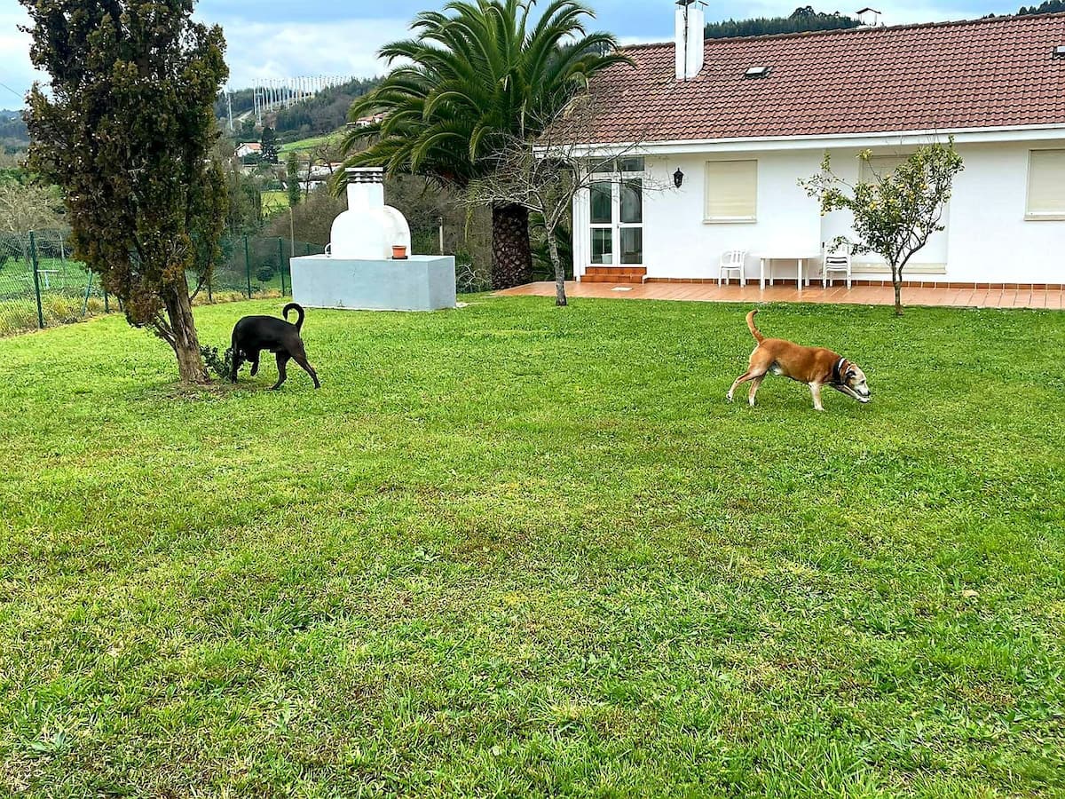 Finca y exterior de la casa