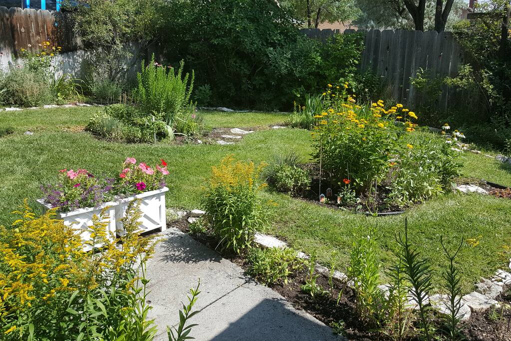back yard flowers