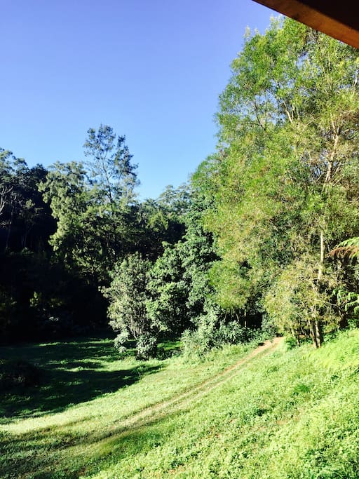 View from your verandah.