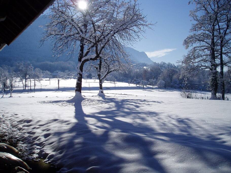 Le jardin sous la neige