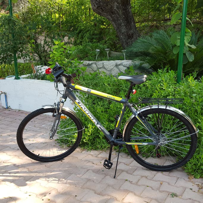 Liogerma offers 6 bikes to join free !