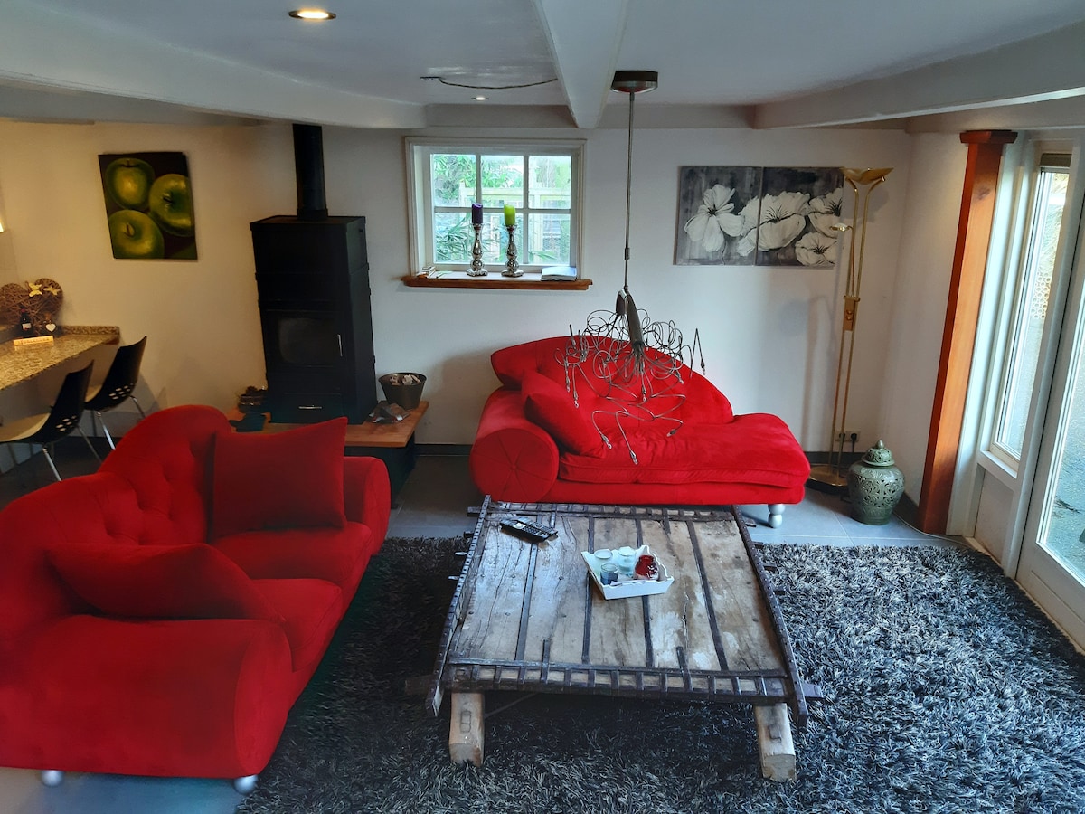 The living area features a pair of bright red sofas positioned around a rustic wooden coffee table. A shaggy gray rug covers the floor, and a black wood stove adds warmth. Natural light enters through large windows, creating a cozy and inviting space.