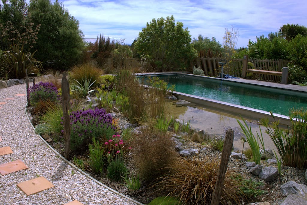 surrounding garden with a wide variety of Mediterranean and NZ native plants