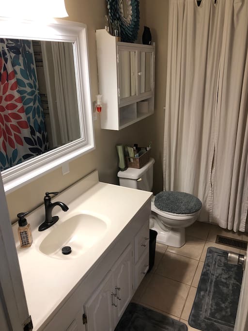 Guest bathroom