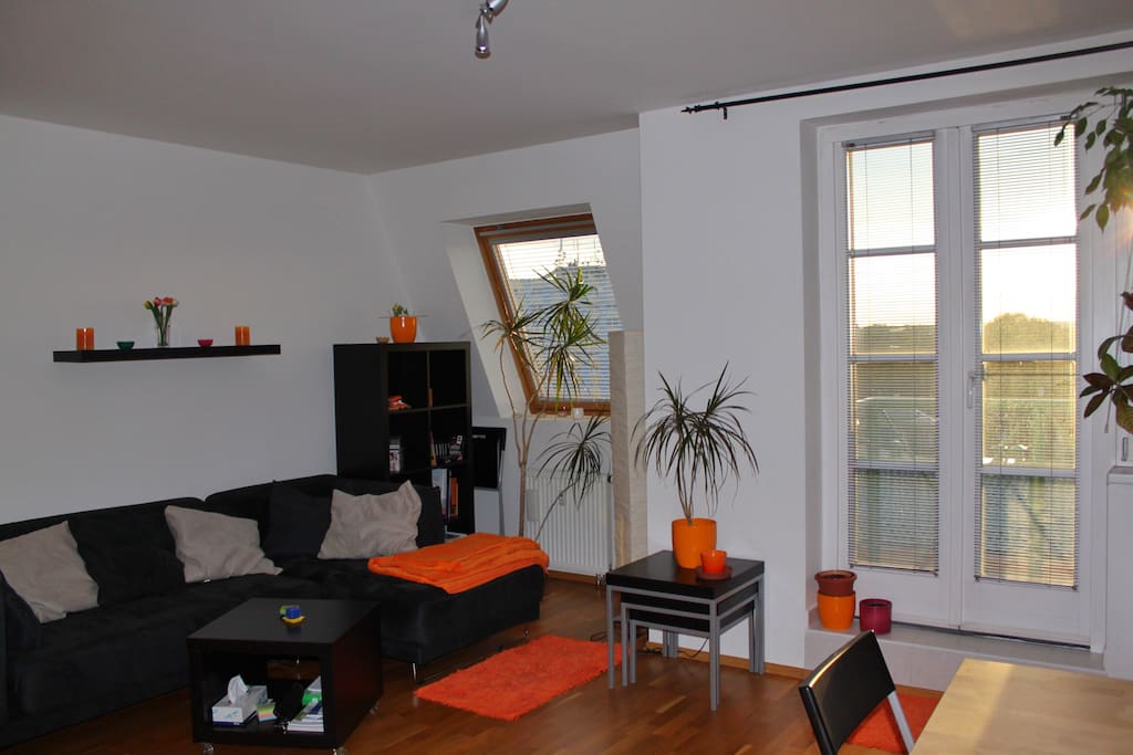 Living Room - Sofa