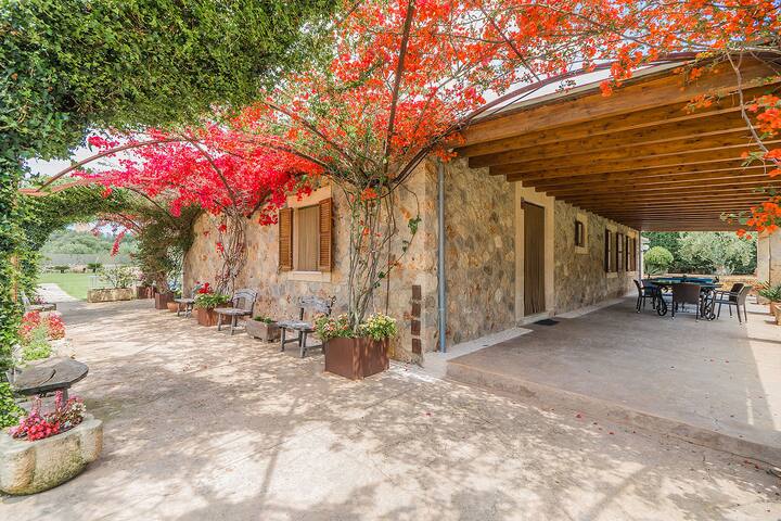 Can Pedro gallery image 5