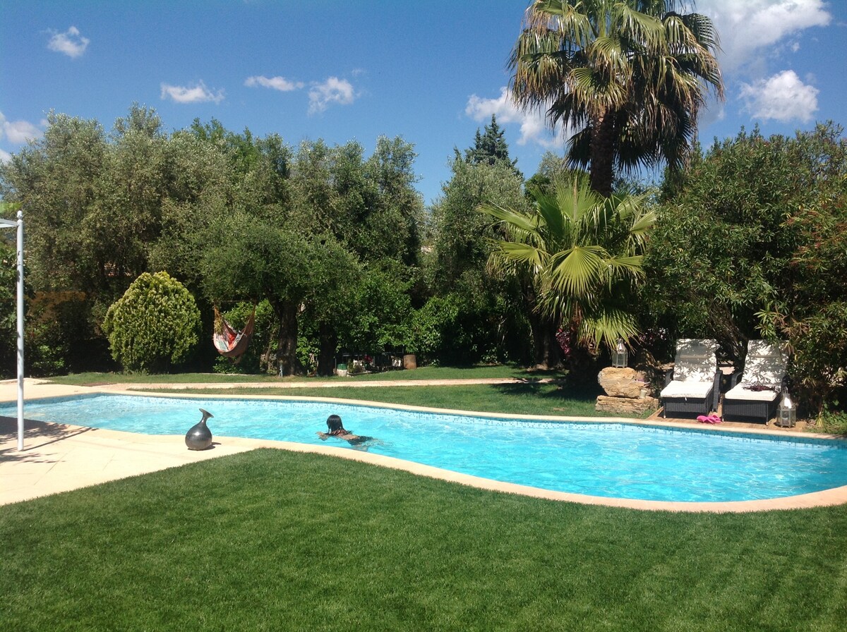 A serene swimming pool is surrounded by lush green grass and palm trees, offering a tranquil setting for relaxation. Two lounge chairs are positioned nearby, while a hammock sways gently in the background, creating an inviting atmosphere for leisure.