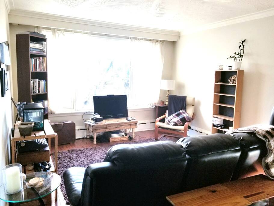 Open area...Books,VR, a fish, and Netflix. You're set up to chill.