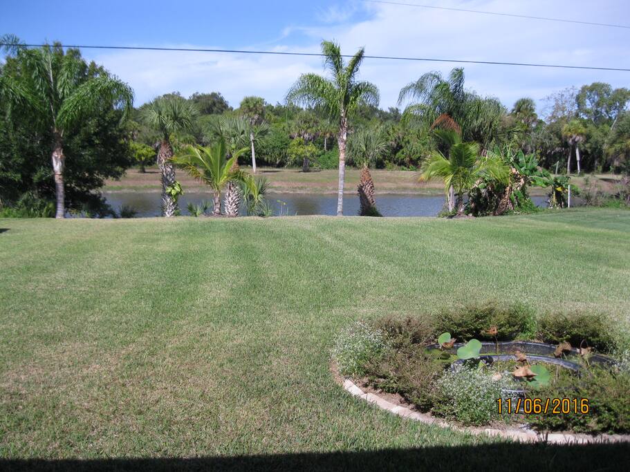 Water view, plenty of bird watching
