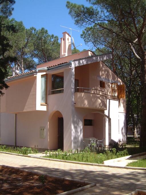 the house