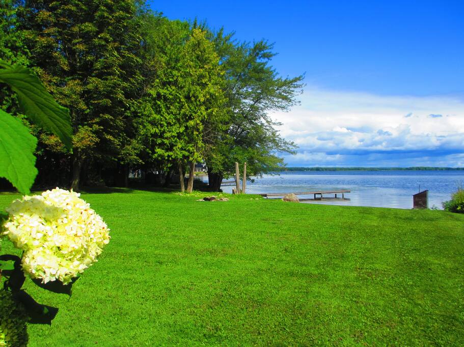 Large private yard, with beach waterfront