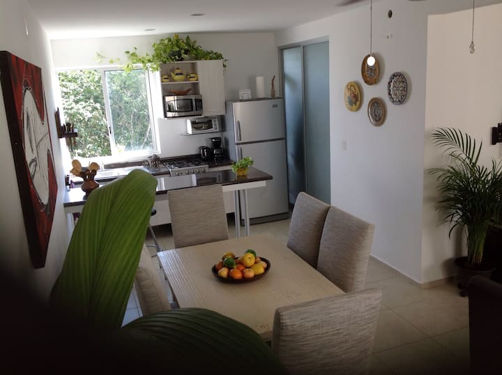 2BR Condo in Playa del Carmen — 2 bedroom vacation rental in Playa del Carmen