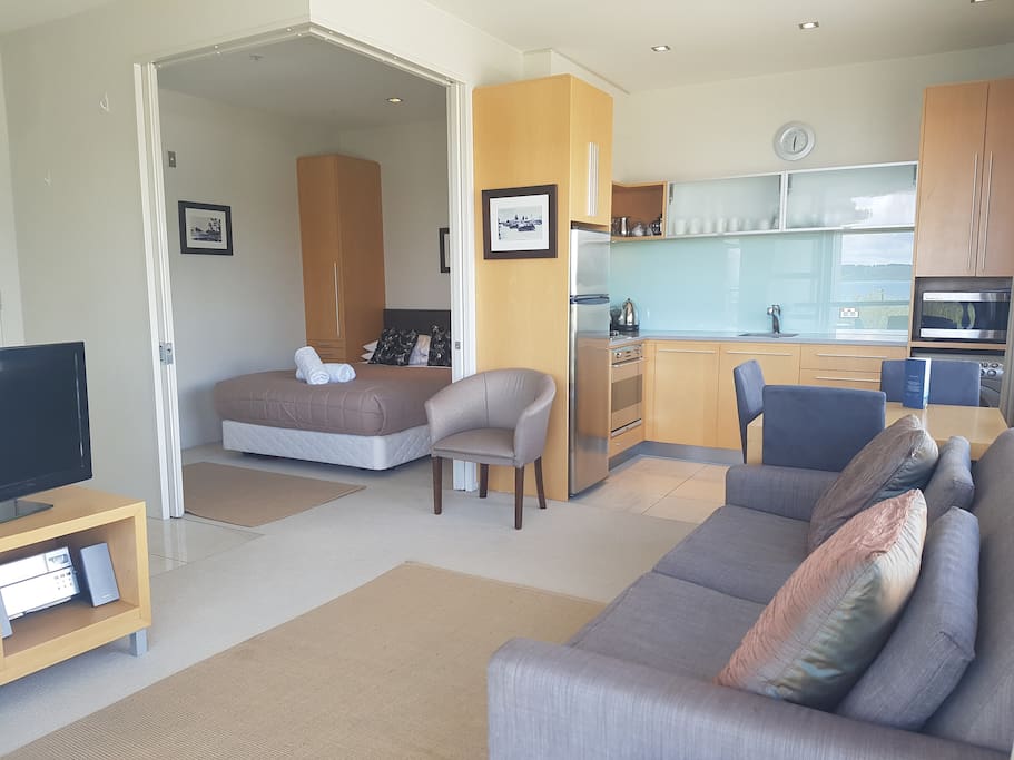 Modern One Bedroom Studio Apartment