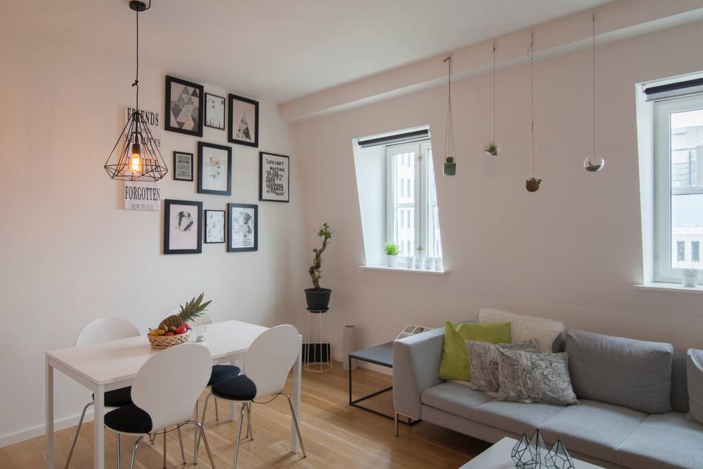 The heart of the apartment - the big Kitchen/livingroom