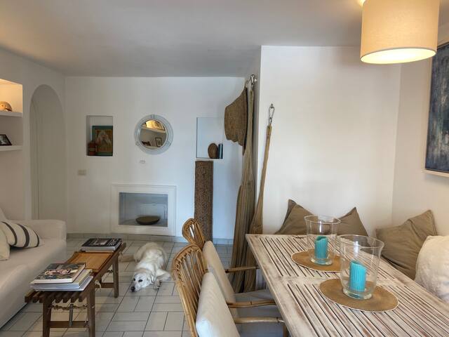 Sabaudia Lungomare Chalet La Porfiada Houses For Rent In Lungomare Di Sabaudia Lazio Italy