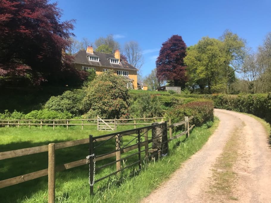 Garden/Driveway: The old carriageway