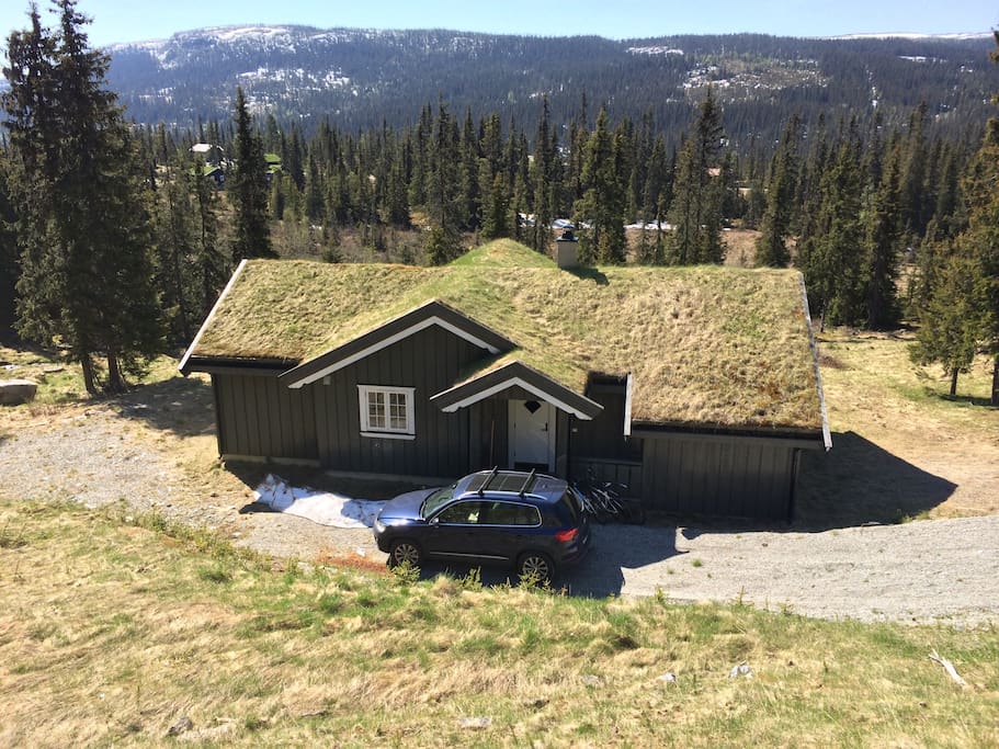 Vår bilde