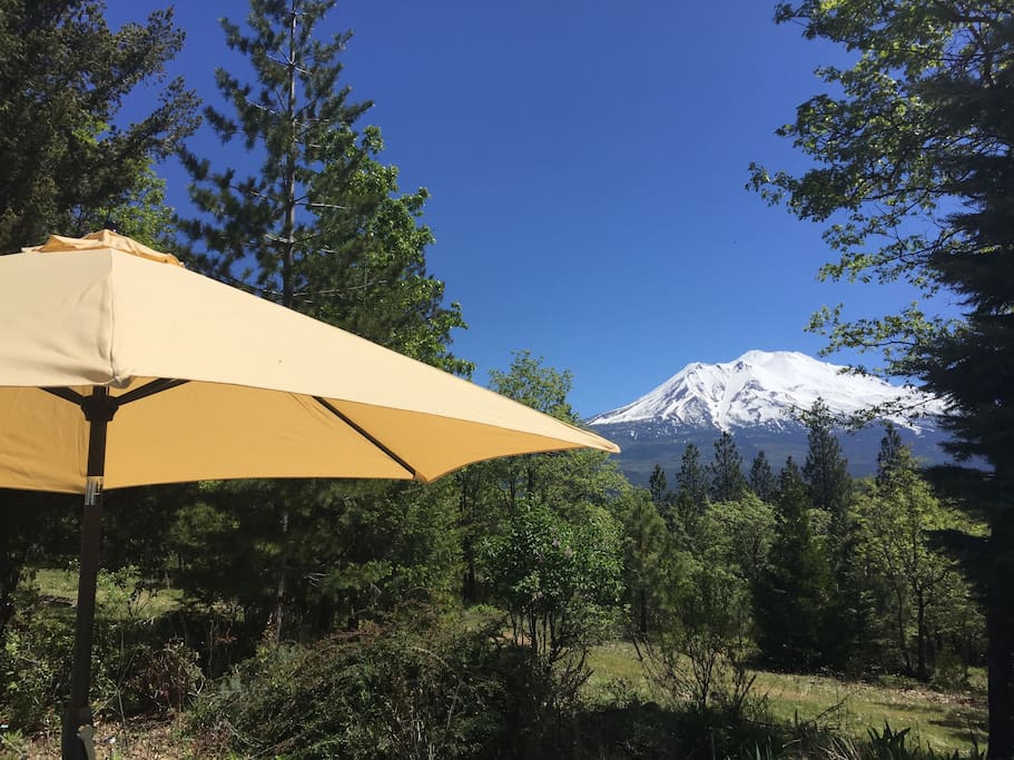 Panoramic View of Mt Shasta from Terrace