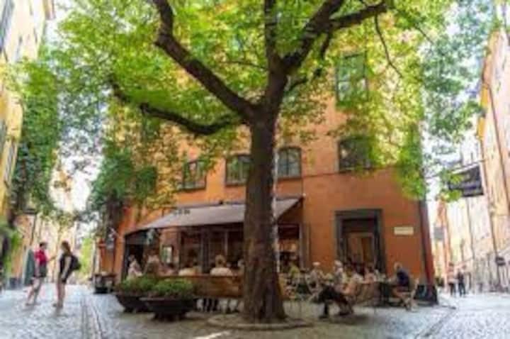 Stockholm Ferieudlejning og boliger - Stockholm , Sverige | Airbnb