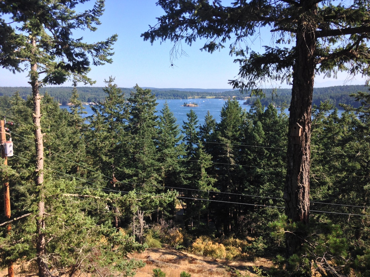 A lush view of Harney Channel is framed by tall evergreen trees, with a glimpse of Shaw Island in the distance. The water reflects the clear blue sky, and a small boat can be seen navigating the channel, highlighting the serene natural landscape.