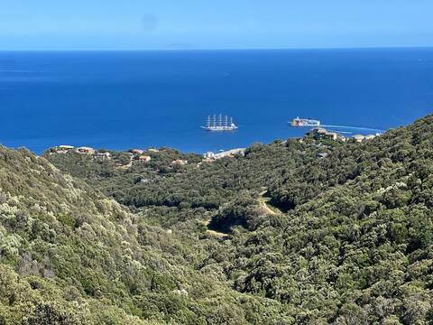 T1 Bastia heights unique sea view