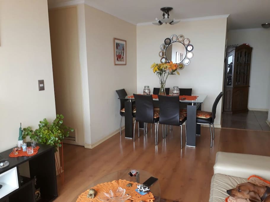 Living comedor