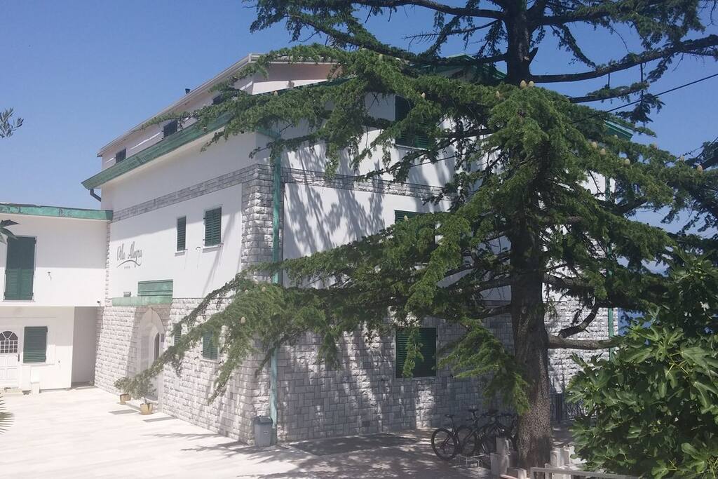 Villa Allegra