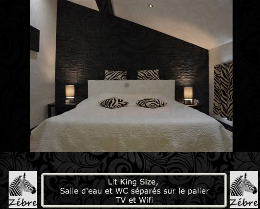 Chambre zêbre