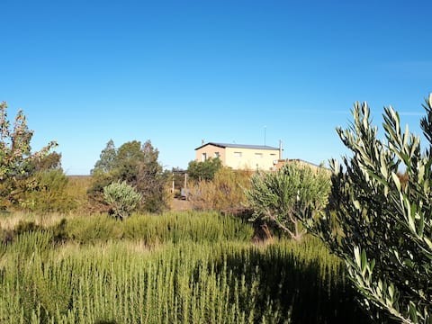 Rural house in the Patagonean Steppe
