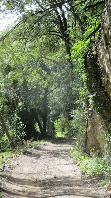 Le vallon des Baumes