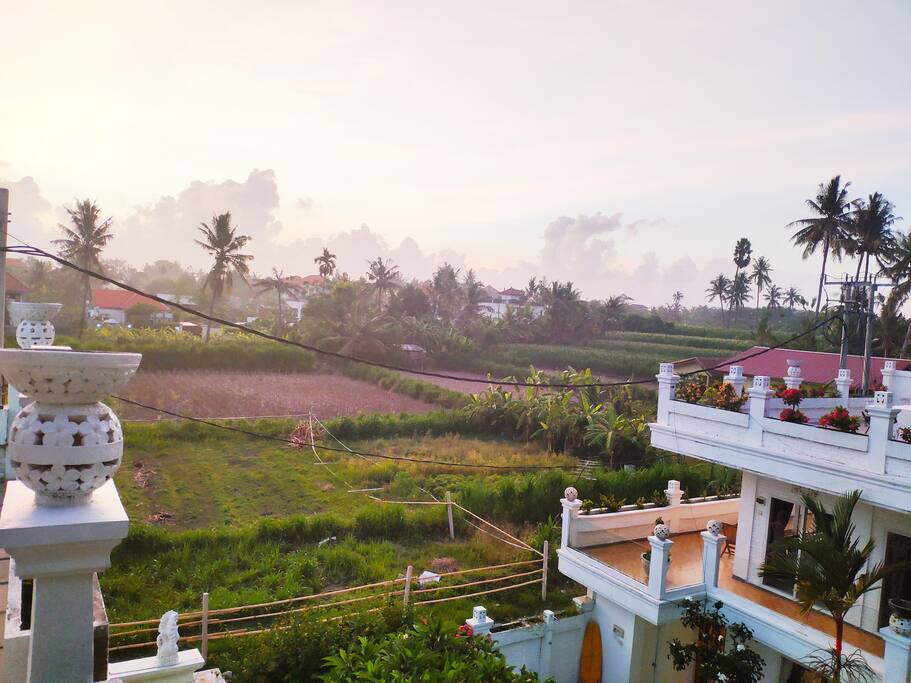 View from 2nd floor