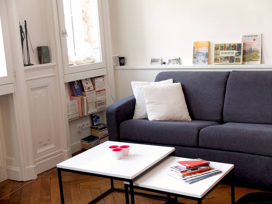 Très confortable canapé lit (d'appoint si une des 2 personnes préfère dormir seule)