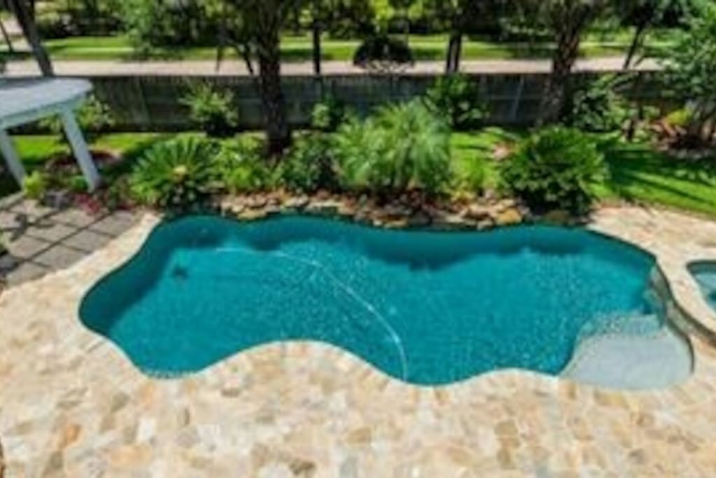Backyard oasis with waterfall, pool & spa & lush landscaping with 9 mature palm trees