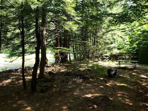 SnugLife Clearing - Perfect Spot for Your Tent!