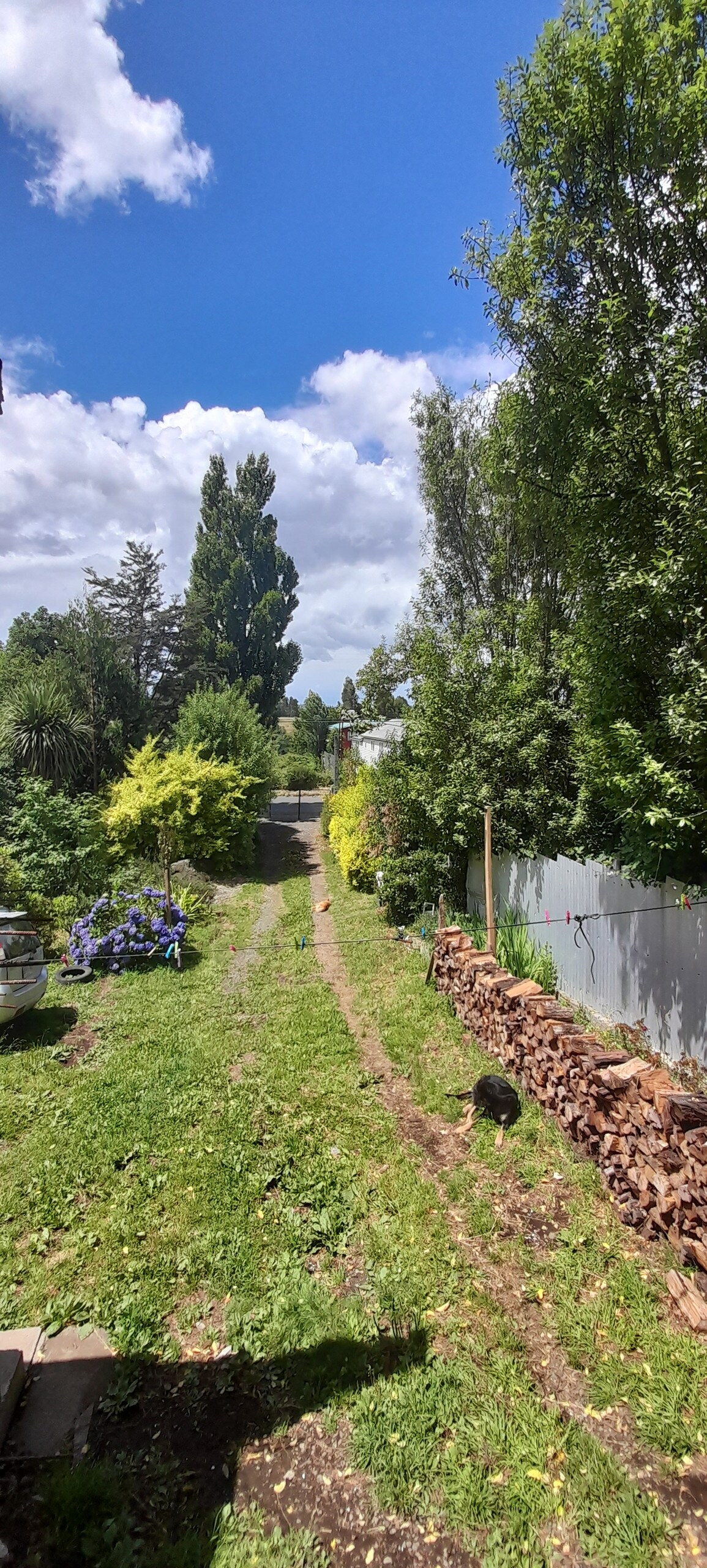 A well-maintained garden path lined with lush greenery and colorful flowers leads towards a distant road. A stack of firewood is positioned beside the path, while trees and shrubs provide a natural border. The sky is clear, punctuated by fluffy clouds.