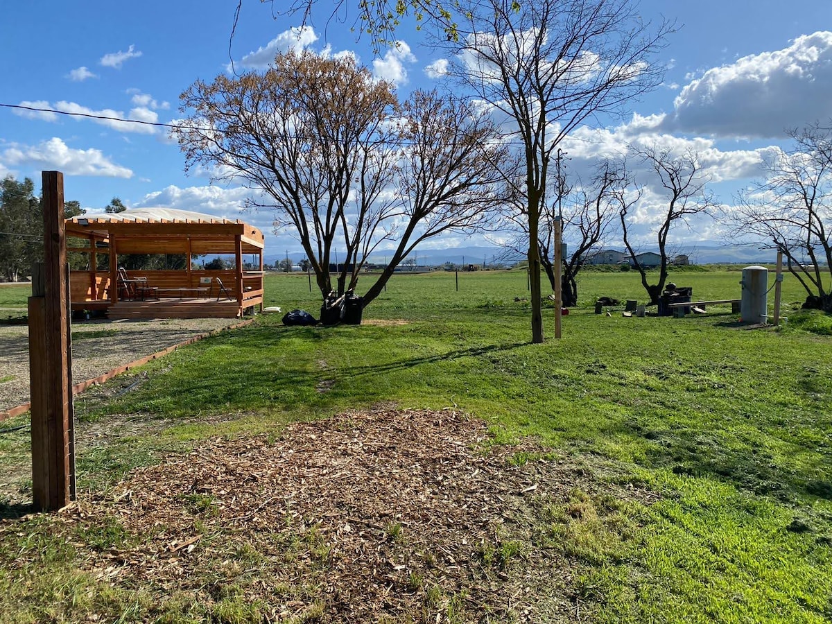 A wooden gazebo is positioned in an expansive green field, surrounded by bare trees. A vast open landscape extends in the background, with distant hills visible under a partly cloudy sky. A simple outdoor fire pit setup is located nearby, providing an inviting space for gatherings.