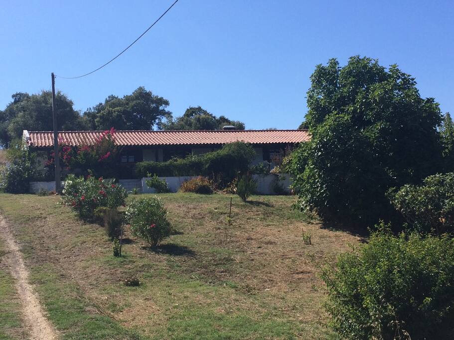 Das Haus im August