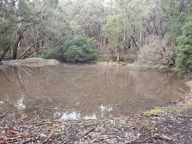 Pet Friendly Country Retreat with secured dog yard gallery image 5