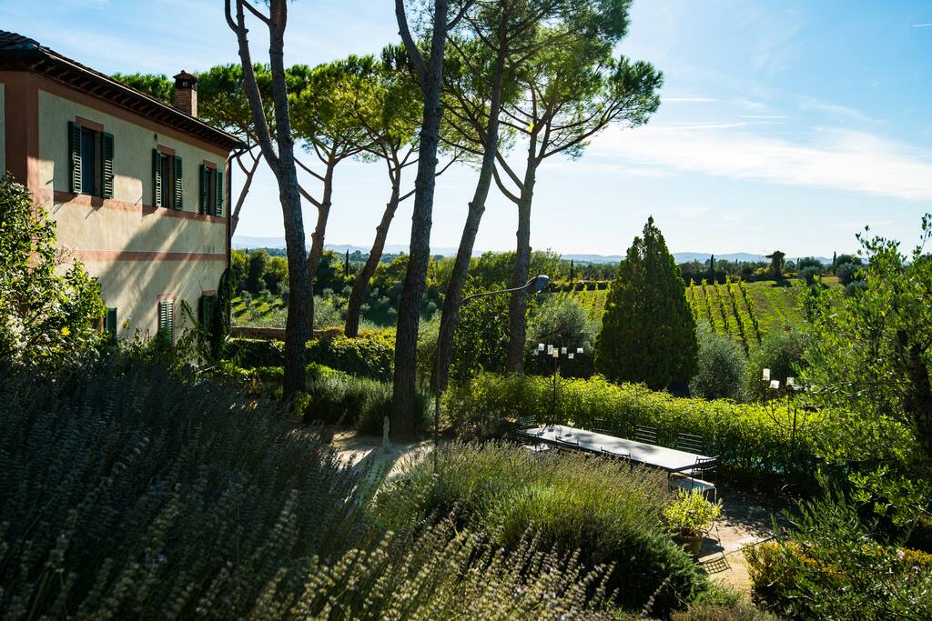 View of the vineyard and outside dining area