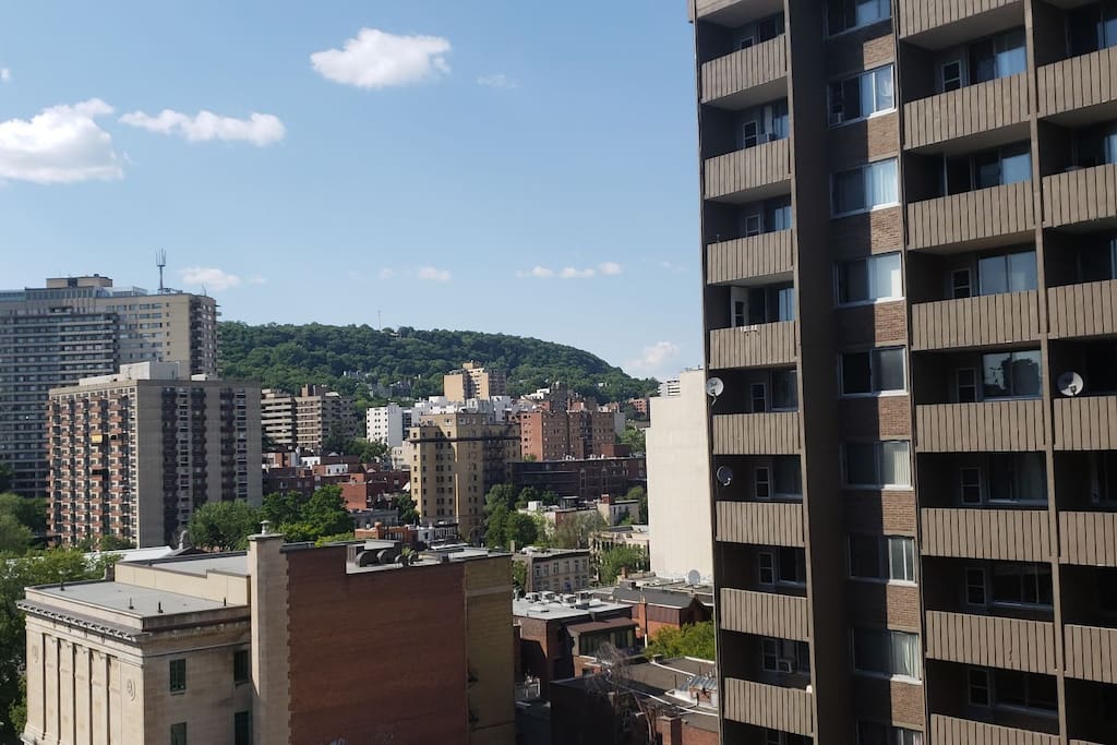 Mount-Royal from the balcony.