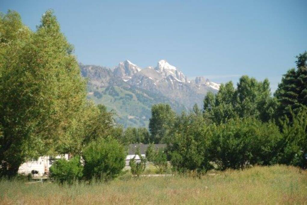 Teton views in summer.