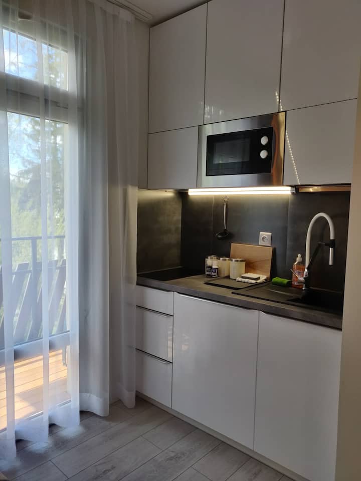Studio Z łAzienką I Aneksem Kuchennym - Zakopane