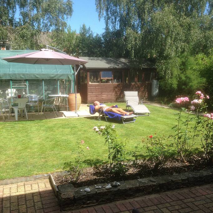 The back garden