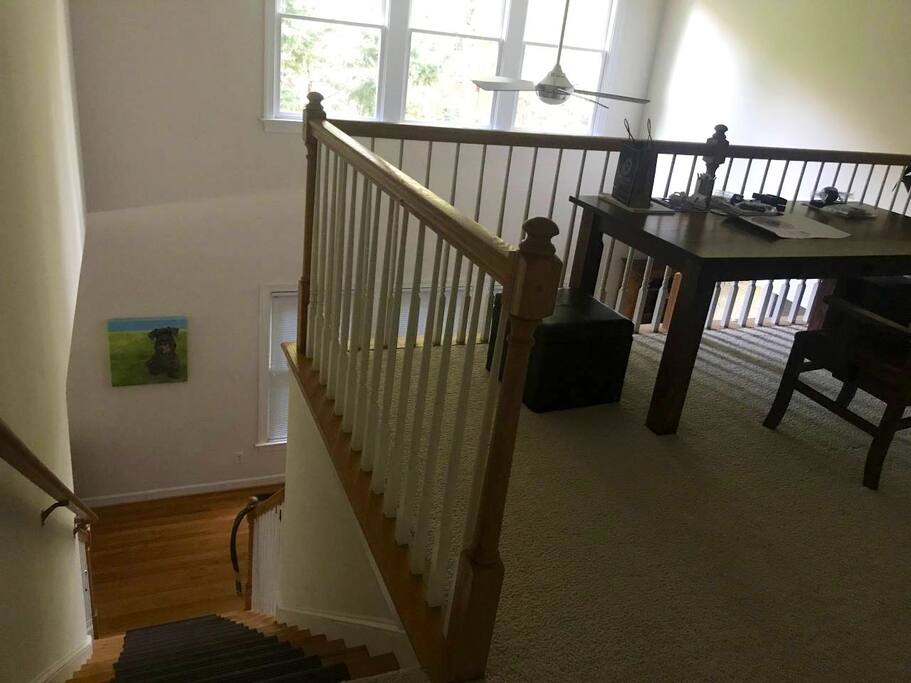 Study area