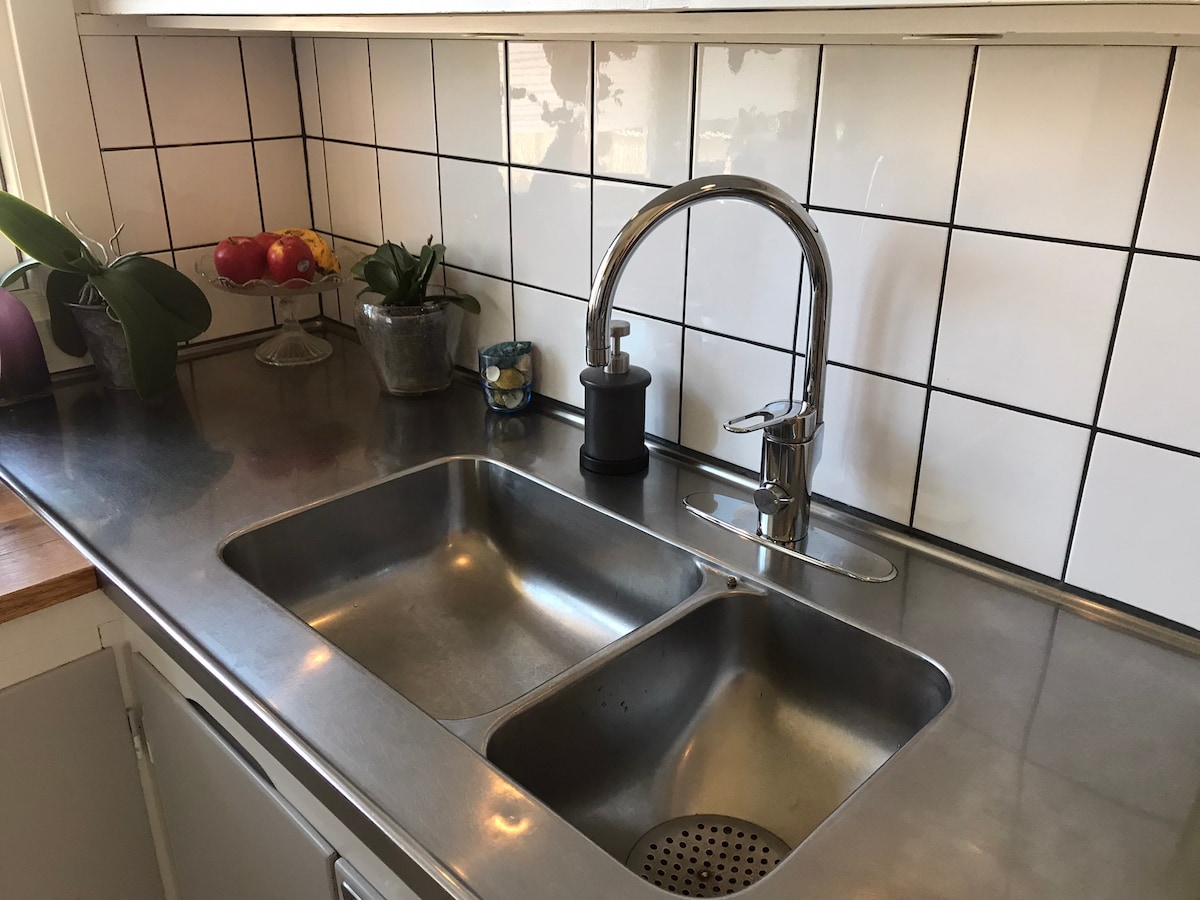 A tidy kitchen sink area is highlighted by a stainless steel double sink and a modern faucet. White tiled walls create a clean backdrop, and a small fruit bowl with apples and potted plants adds a touch of color to the countertop.
