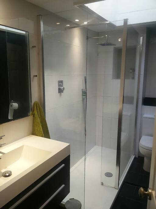 Rain shower in bathroom with natural sky light