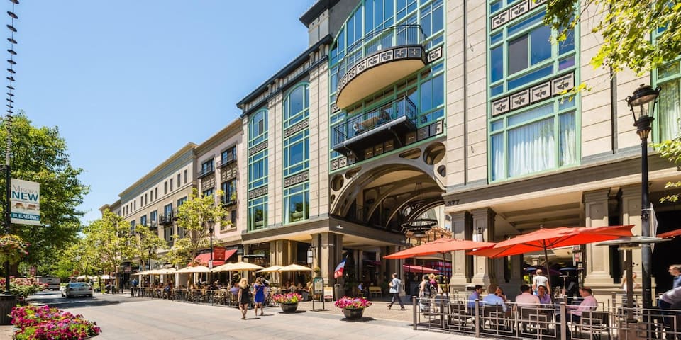 Santana Row Luxury Executive Loft 2BR